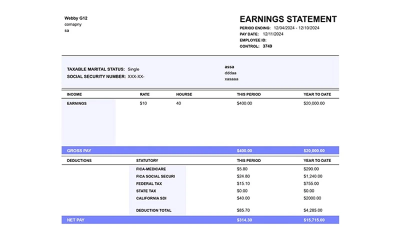 the pay stub ADP template