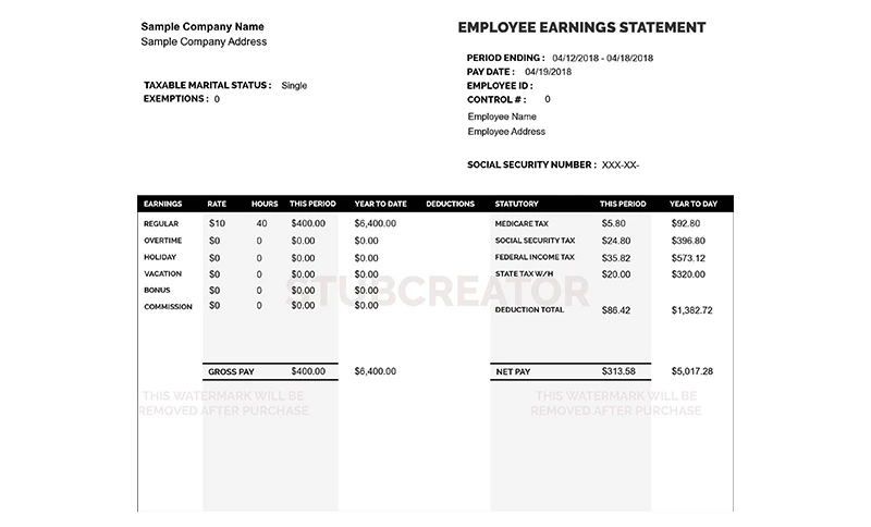 the pay stub Advanced template