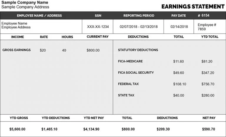 Template 5 pay stub template for sample company payroll statement