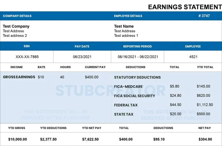 Template 7 pay stub template for sample company payroll statement