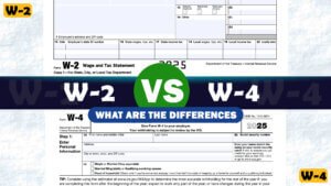 w2 vs w4