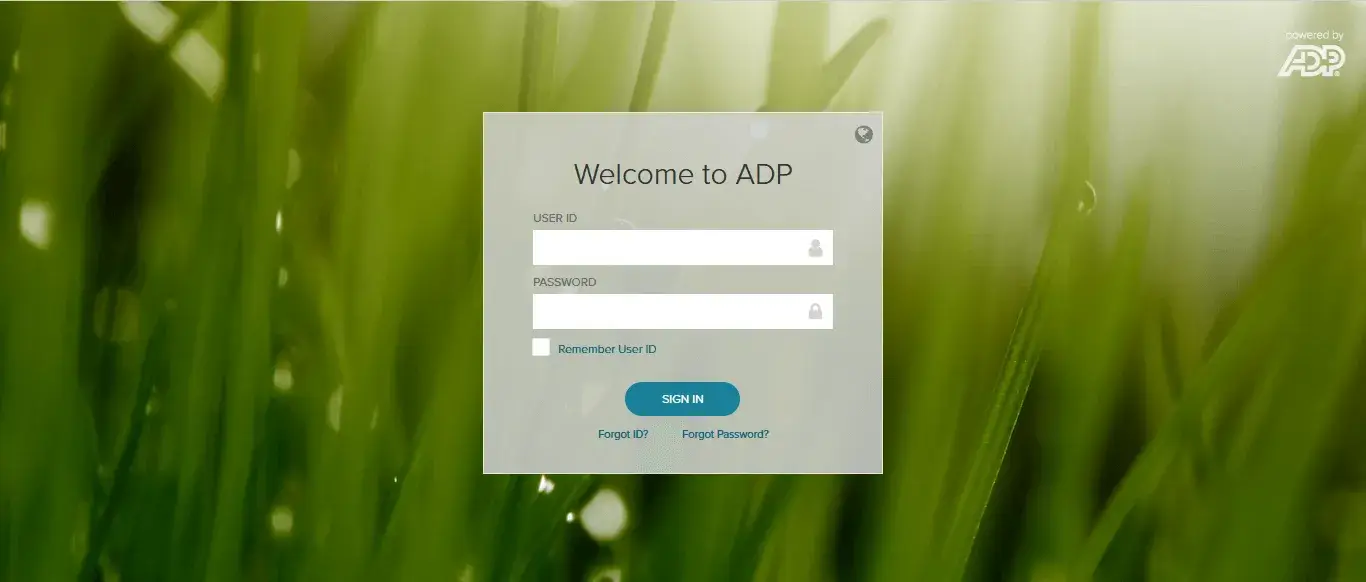 adp paystub