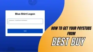 best buy pay stub