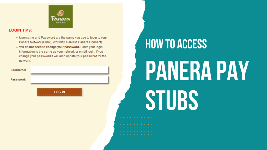 Panera Pay Stubs
