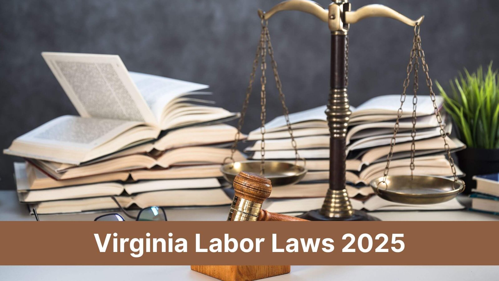 Virginia Labor Laws 2025