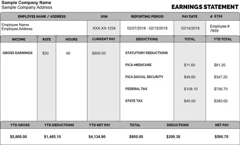Classic Graphite Paystub Template